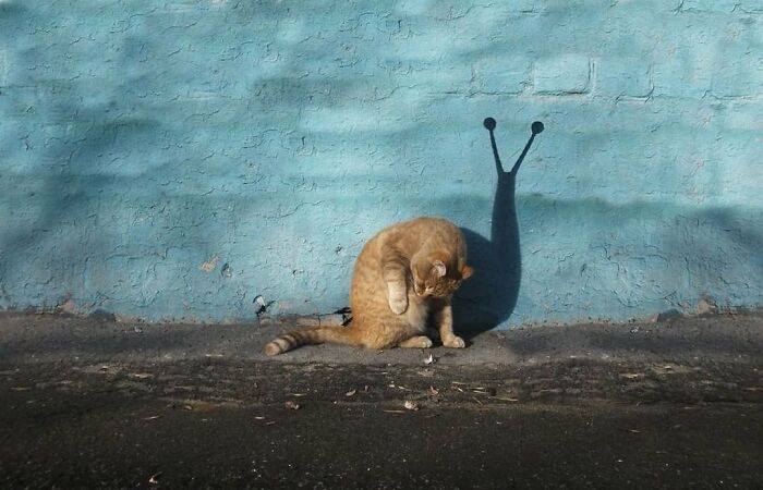 Here Are 50 Of The Most Interesting Images Selected By This Instagram Page