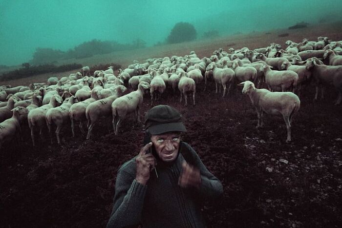Here Are 50 Of The Most Interesting Images Selected By This Instagram Page