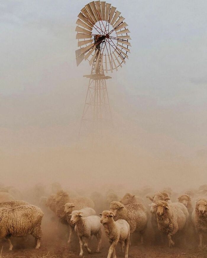 Here Are 50 Of The Most Interesting Images Selected By This Instagram Page