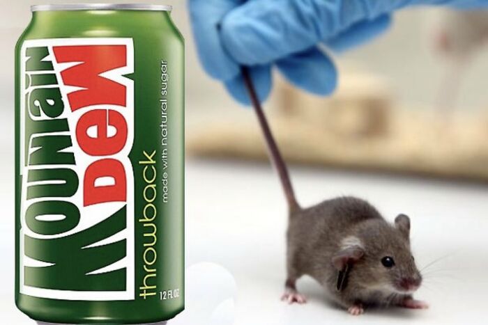 33 Datos curiosos y algunos tan morbosos que no son aptos para cardíacos