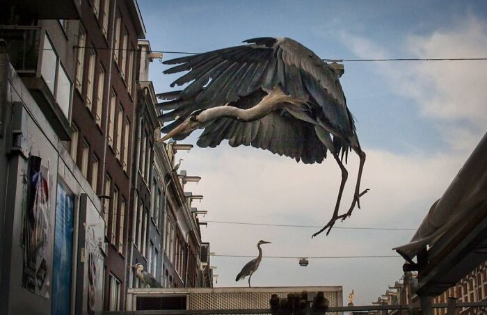 30 Funny Accidental Images That Were Taken At The Right Time And Place By This Street Photographer
