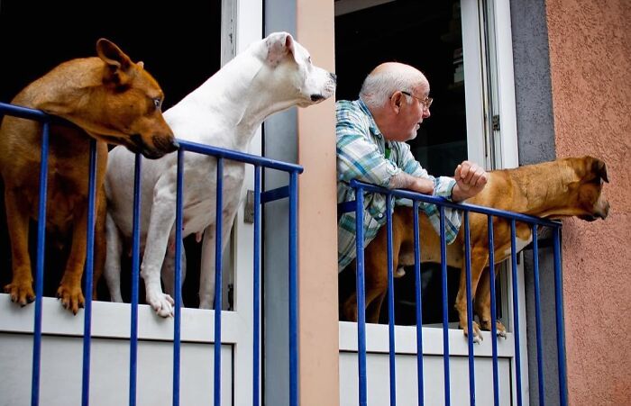 30 Funny Accidental Images That Were Taken At The Right Time And Place By This Street Photographer