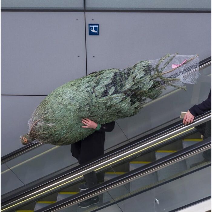 30 Funny Accidental Images That Were Taken At The Right Time And Place By This Street Photographer