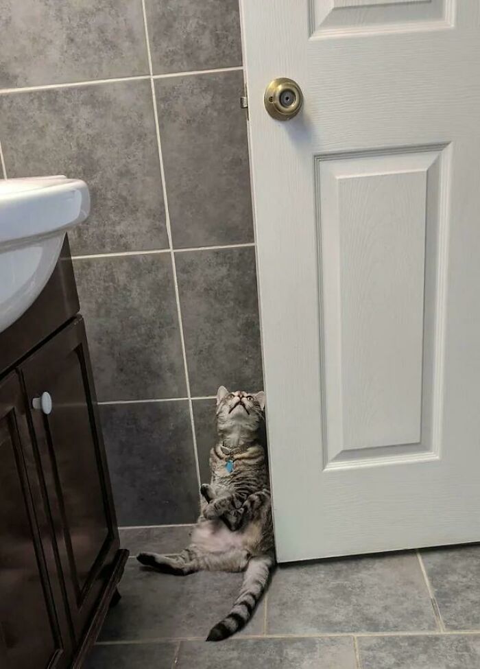 ¿Por qué hace cosas raras en el baño?