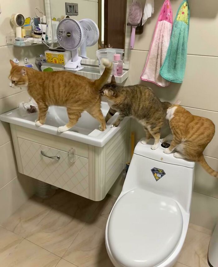 ¿Qué hacen???