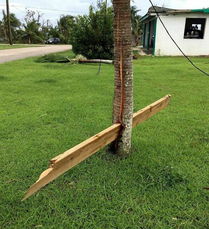 El poder de un tornado