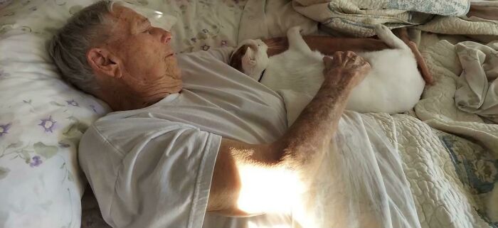 Mi madrastra adoptó un gato para sus padres ancianos. Nos preocupaba que a su padre no le gustara