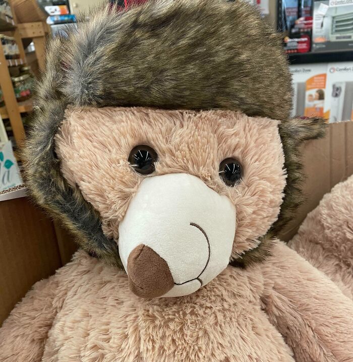 Oso de peluche con el morro rotado 90º