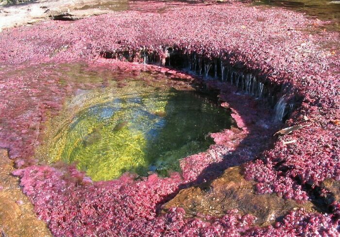 El más bello río, el río Crystal