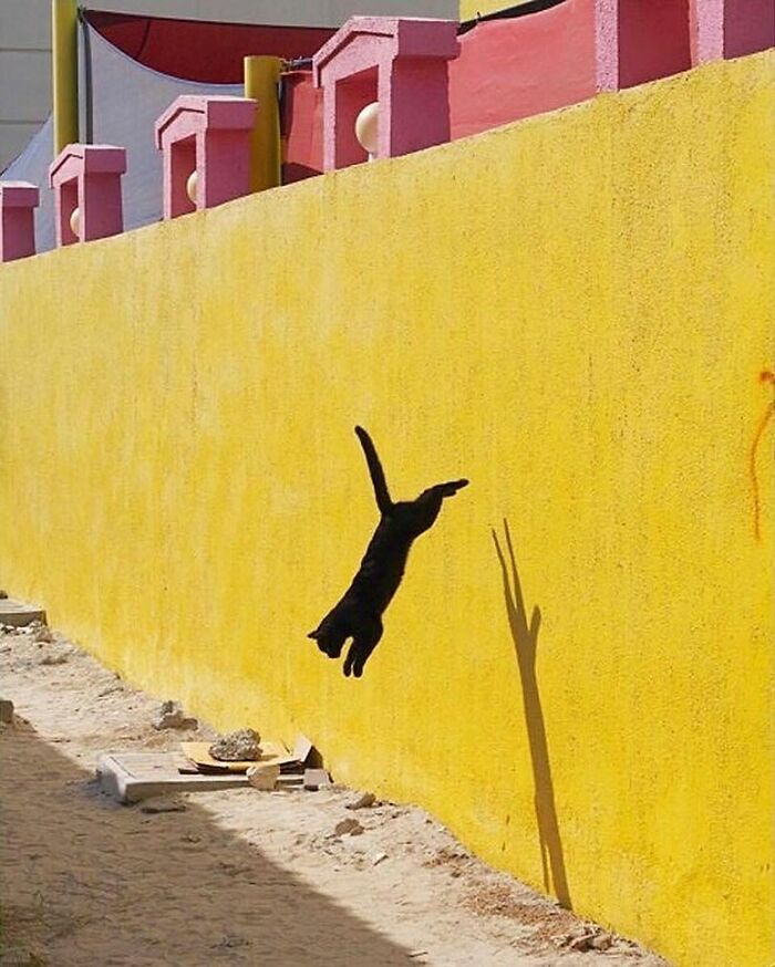 Here Are 50 Of The Most Interesting Images Selected By This Instagram Page