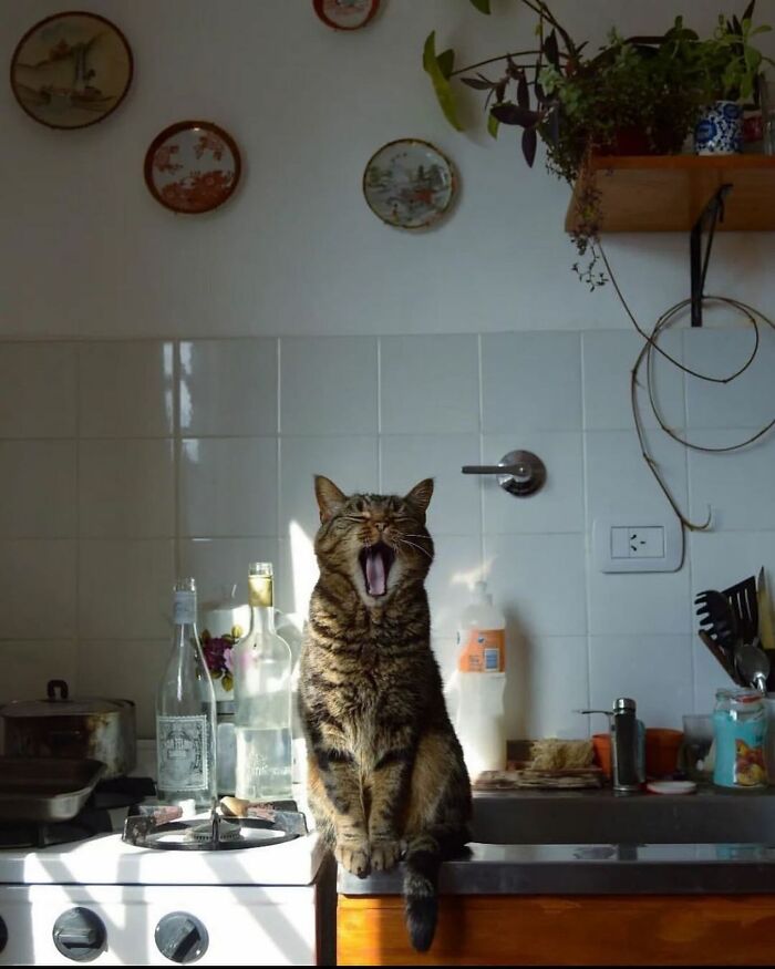 Here Are 50 Of The Most Interesting Images Selected By This Instagram Page