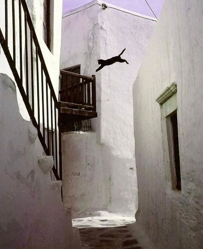 Here Are 50 Of The Most Interesting Images Selected By This Instagram Page