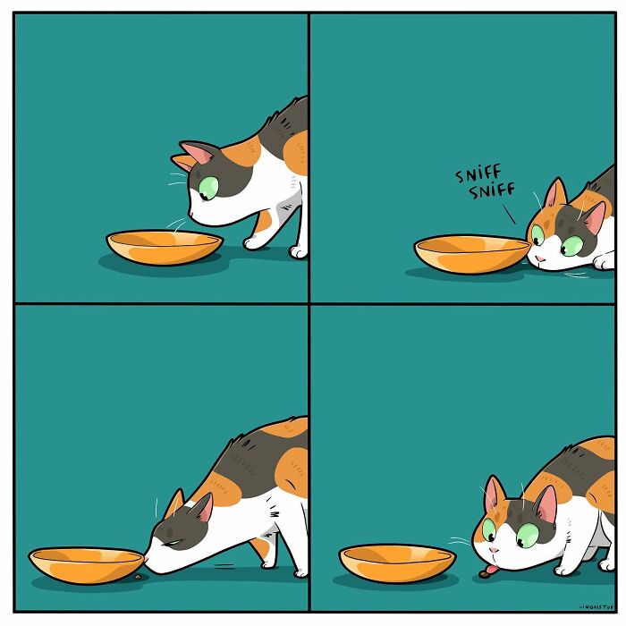 Artist Illustrates What It's Like To Live With A Cat (30 New Pics)
