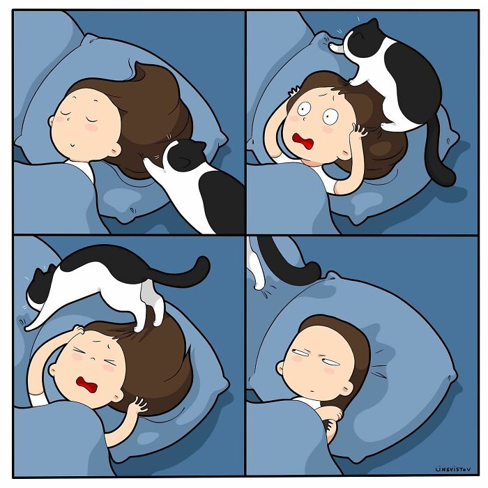Artist Illustrates What It's Like To Live With A Cat (30 New Pics)