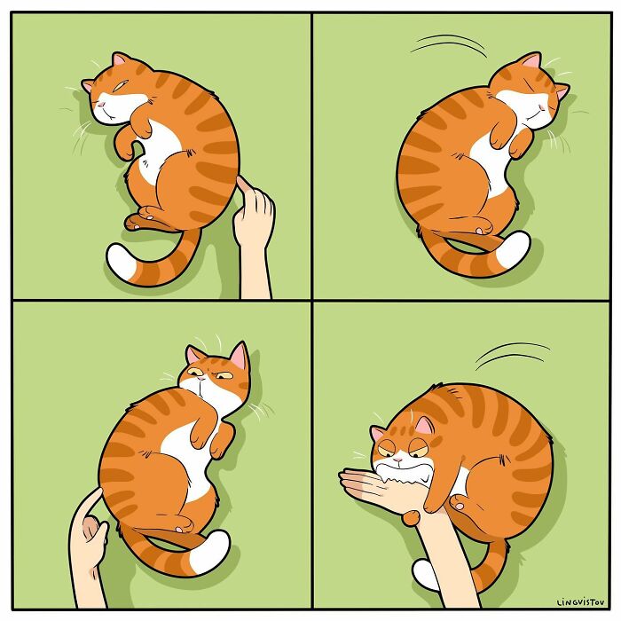 Artist Illustrates What It's Like To Live With A Cat (30 New Pics)