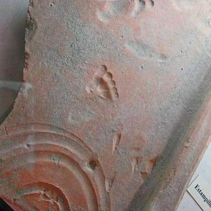 Huella de un niño romano en una baldosa de arcilla roja, impresa mientras se secaba hace ~2000 años. Vaison-La-Romaine (Antiguo Vasio Vocontiorum)