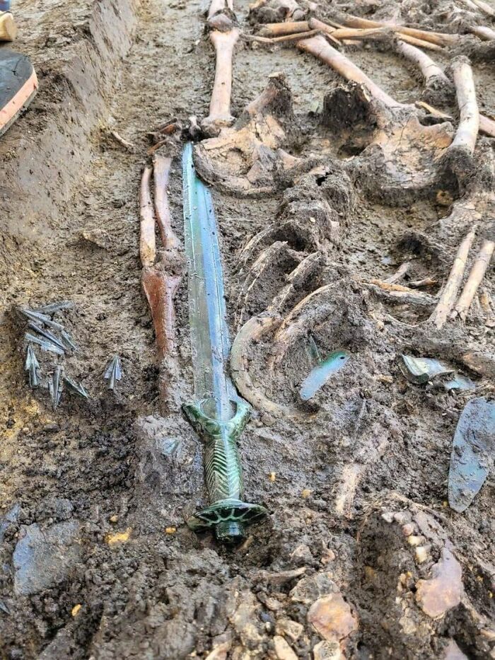 Hallan en Alemania una espada de la Edad de Bronce de hace más de 3.000 años en un estado de conservación excepcional