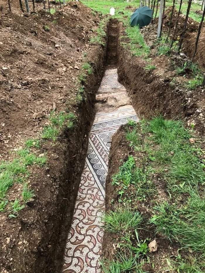 Mosaicos de una villa romana hallados bajo un viñedo en Italia