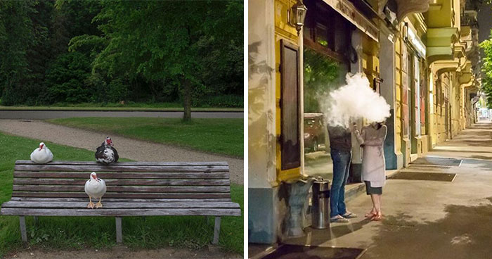 30 Divertidas fotos «accidentales» tomadas en el momento justo por esta fotógrafa callejera
