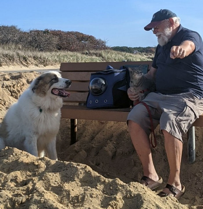 Mi padre "no más mascotas" cuenta un cuento a mi perro y a mis dos gatos
