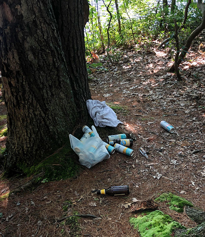 Esto es un parque natural, ¿por qué la gente no se lleva su basura?