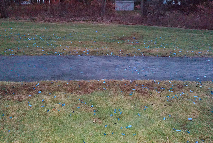 Confetti de plástico en un parque público tras una fiesta de revelación de género