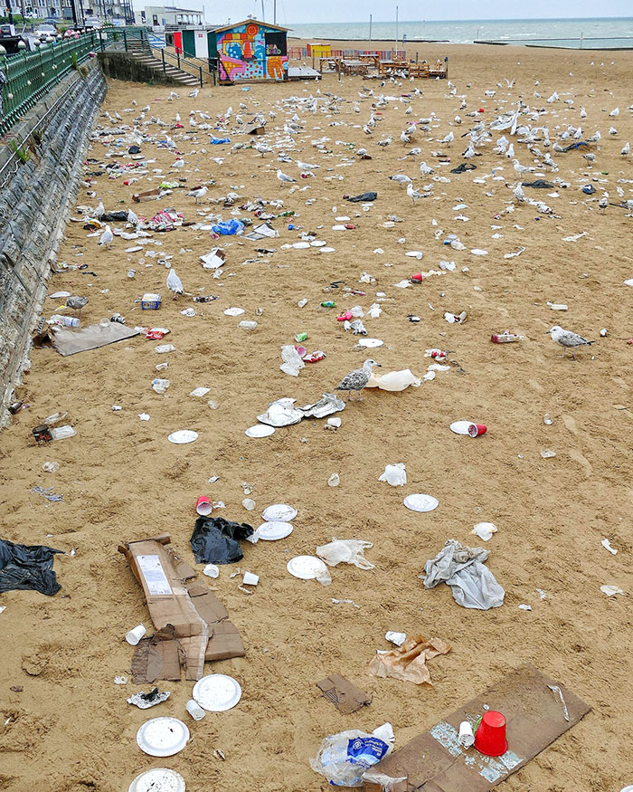 Fui a la playa a hacer fotos y ojalá no hubiera venido. ¿Falta de papeleras o gente vaga? Es una desgracia