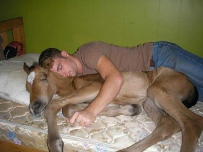 50 Weird Images That Need No Context Whatsoever To Be Hilarious, As Seen On This FB Page
