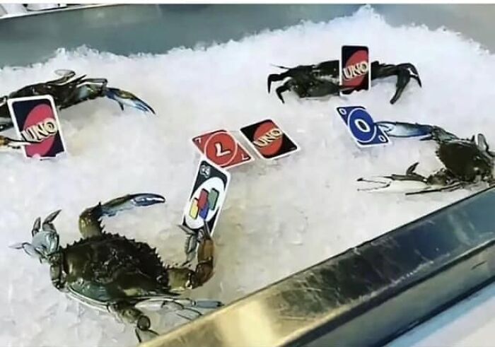 50 Weird Images That Need No Context Whatsoever To Be Hilarious, As Seen On This FB Page