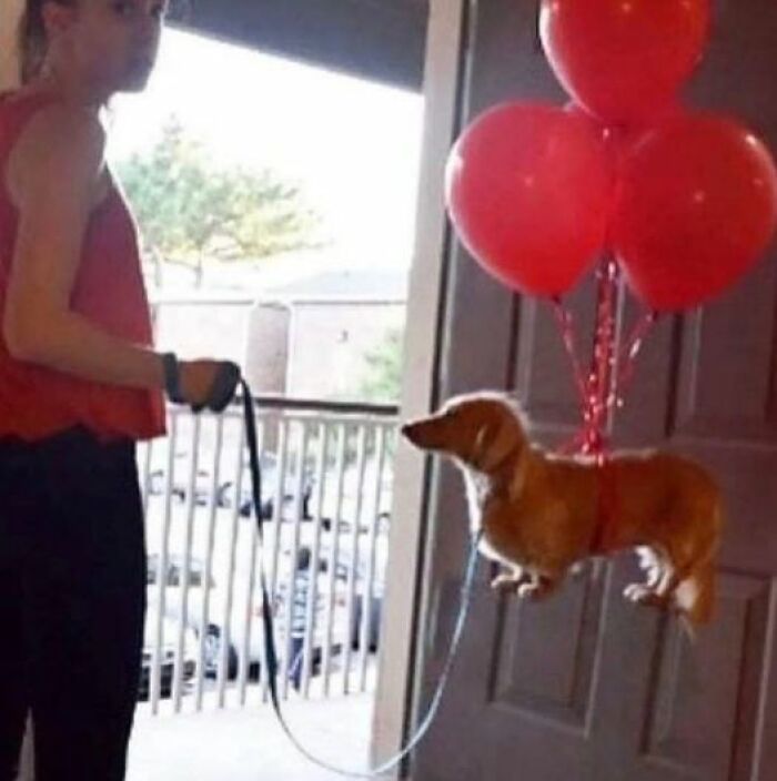 50 Weird Images That Need No Context Whatsoever To Be Hilarious, As Seen On This FB Page