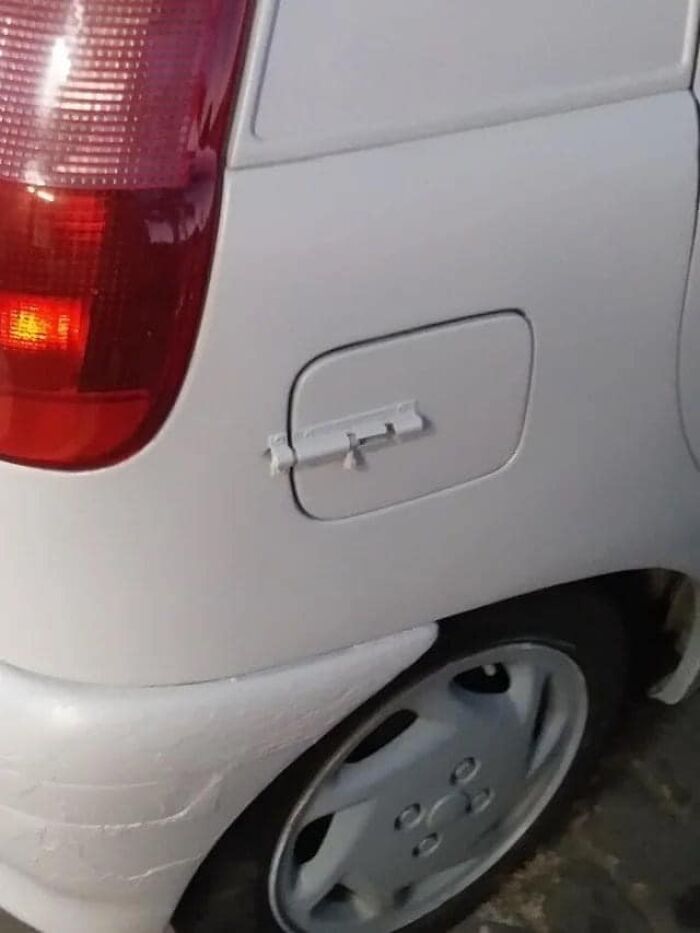 50 ‘Things In Places They Shouldn't Be’ To Make Your Day Better (New Pics)