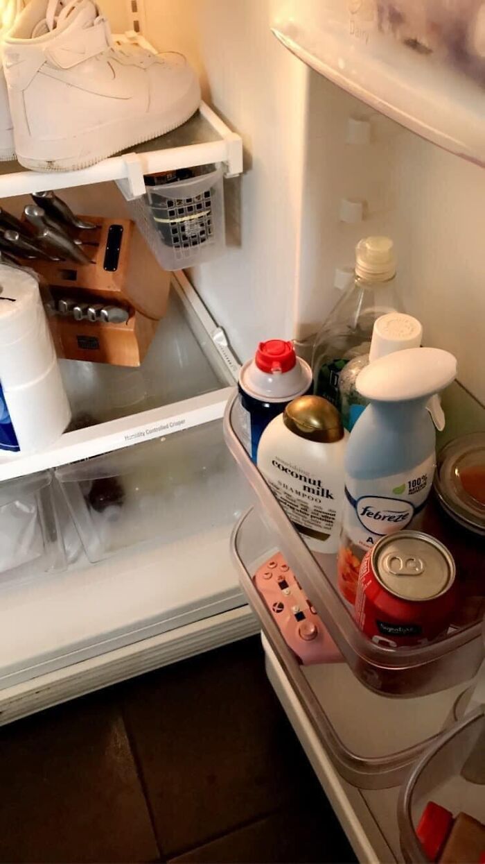 50 ‘Things In Places They Shouldn't Be’ To Make Your Day Better (New Pics)