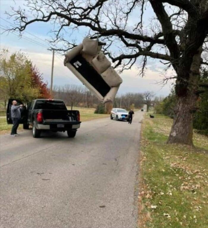 50 ‘Things In Places They Shouldn't Be’ To Make Your Day Better (New Pics)