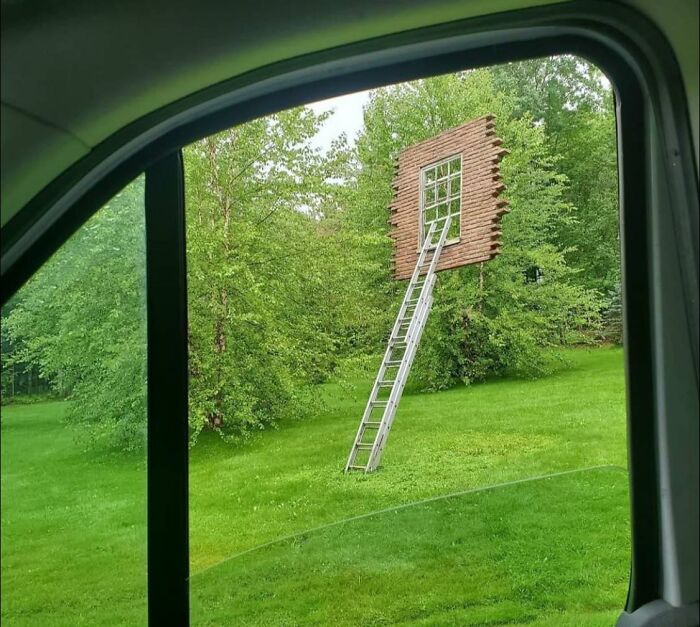 50 ‘Things In Places They Shouldn't Be’ To Make Your Day Better (New Pics)