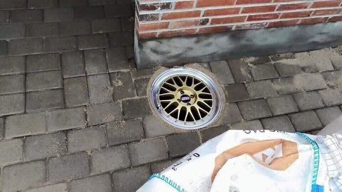 50 ‘Things In Places They Shouldn't Be’ To Make Your Day Better (New Pics)