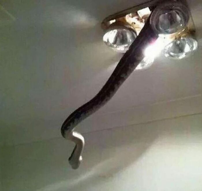 50 Pics Of People Having A Worse Day Than You, As Shared On This Facebook Page