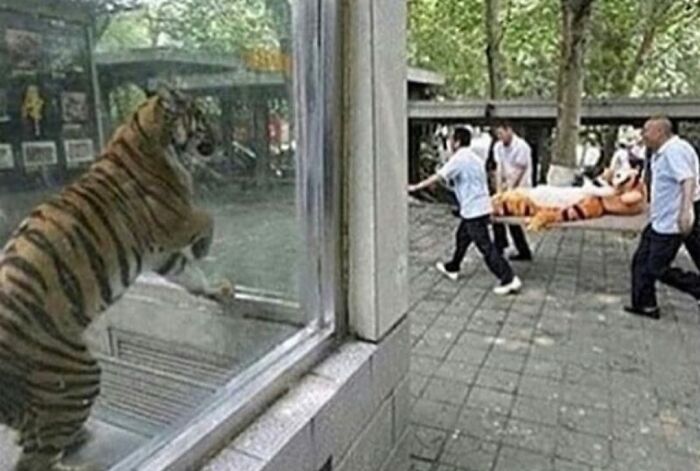 50 Pics Of People Having A Worse Day Than You, As Shared On This Facebook Page