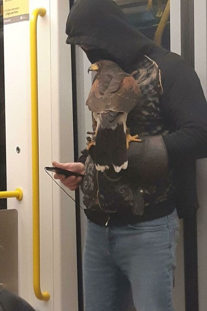 44 Times People Spotted Such Weird And Funny Things On The Subway, They Just Had To Share