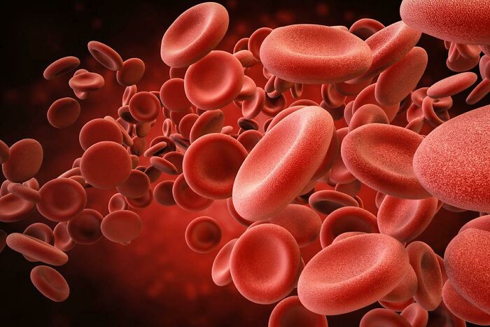 Estos círculos rojos son muy útiles