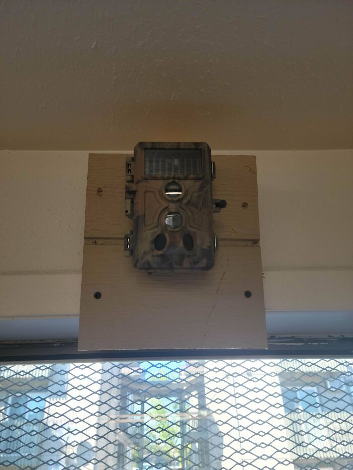 ¿Han puesto esto en el cuarto de la colada?