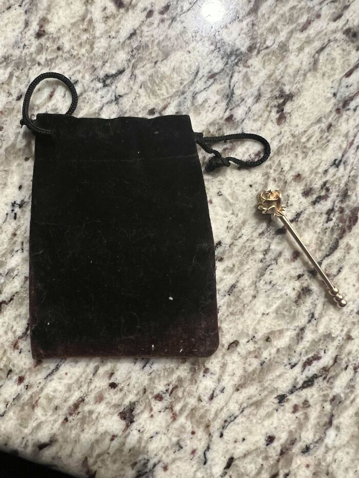 Mi madre ha encontrado esto junto a la piscina