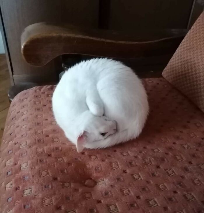 Esfera