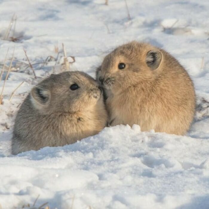 Invierno