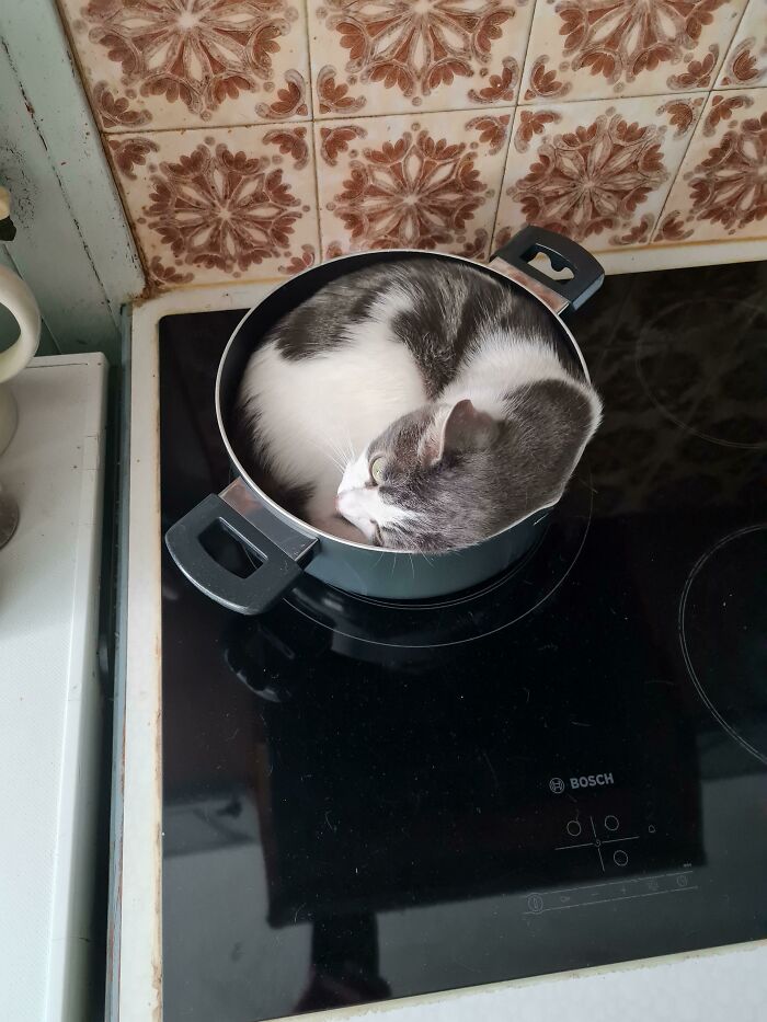 Círculo perfecto