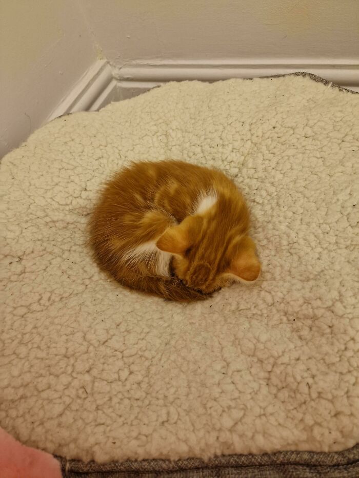 Mi pequeña