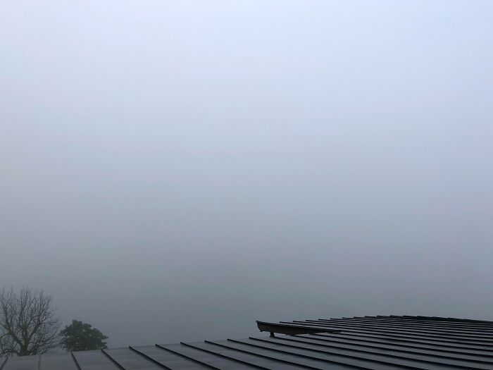 Reservé una habitación de hotel con buenas vistas para tener un Año nuevo especial con mi esposa