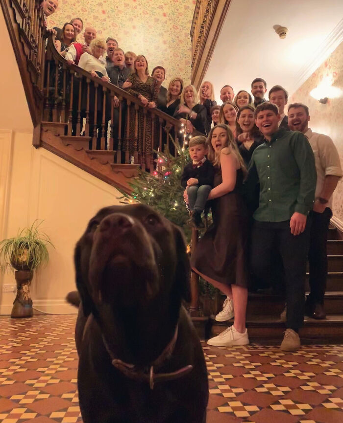 Photobomb de año nuevo