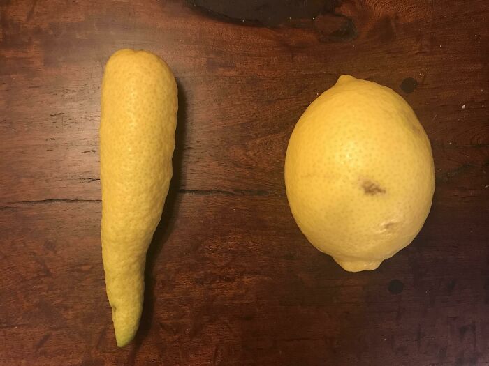 Limón de nuestro árbol que parece una zanahoria