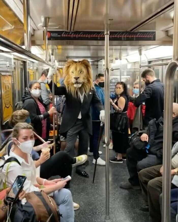 44 Times People Spotted Such Weird And Funny Things On The Subway, They Just Had To Share