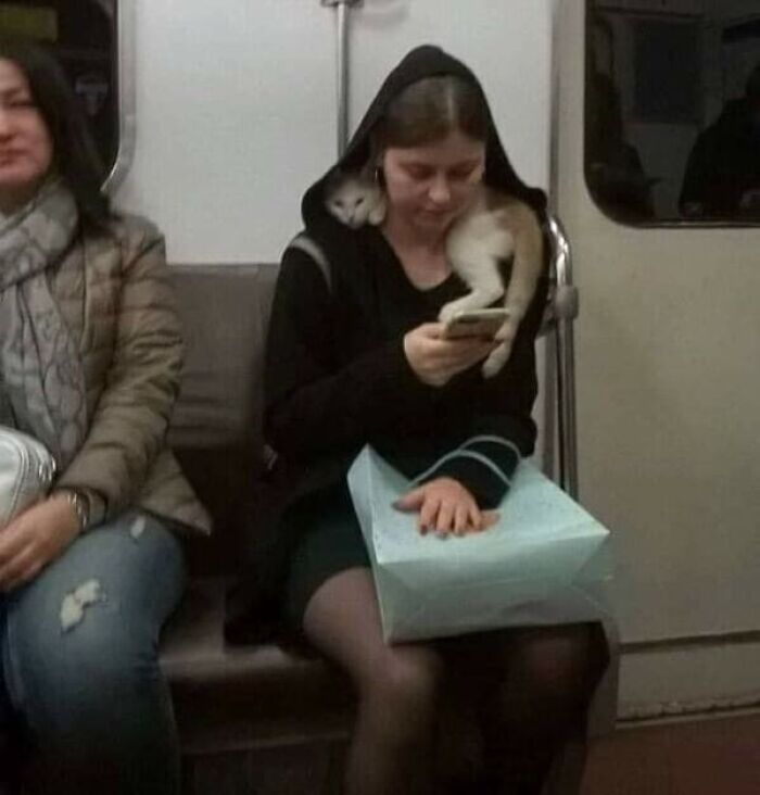 44 Times People Spotted Such Weird And Funny Things On The Subway, They Just Had To Share